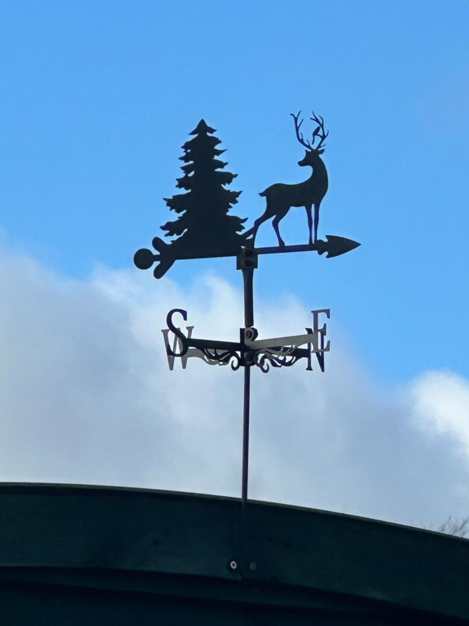 Stags Hide Ξενοδοχείο Minwear Εξωτερικό φωτογραφία